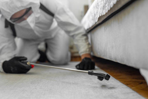 Professional Bed Bug Control technician working in Bolivar Peninsula, TX