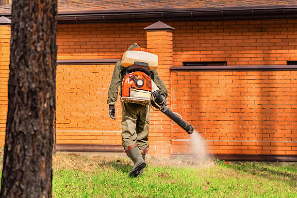 Trusted Bed Bug Control service in Bolivar Peninsula, TX - Nex Pest Control